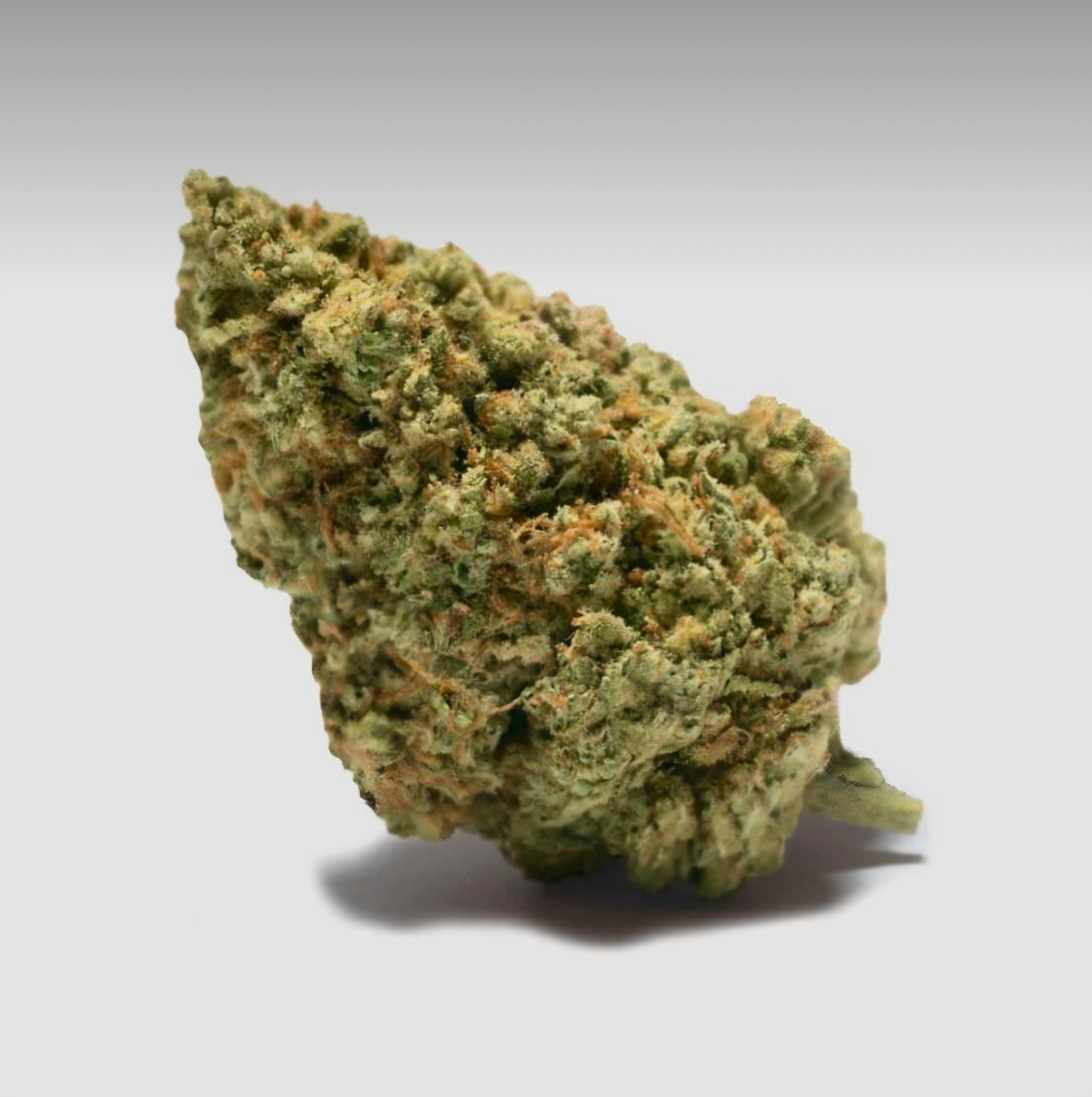 Gorilla Glue