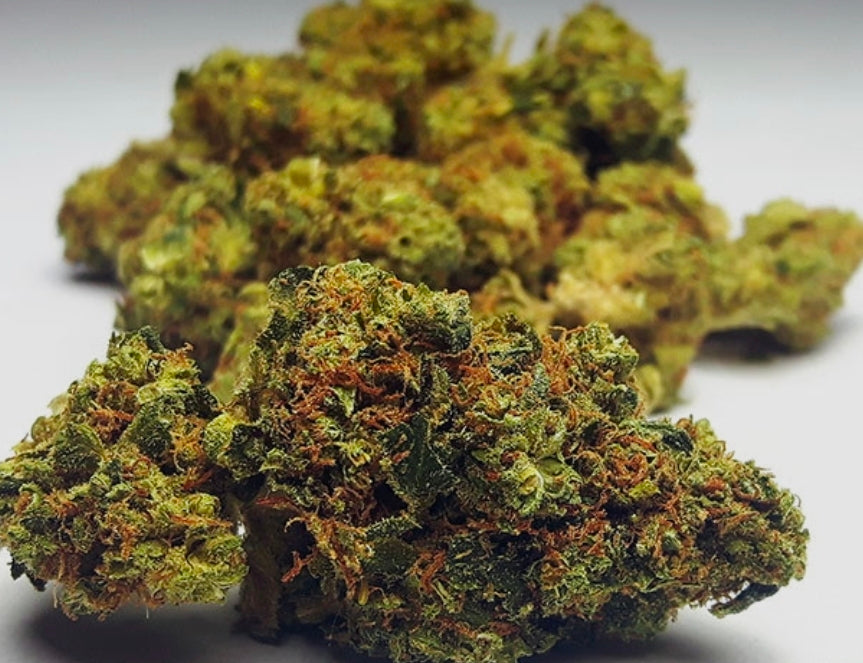 Gorilla Glue