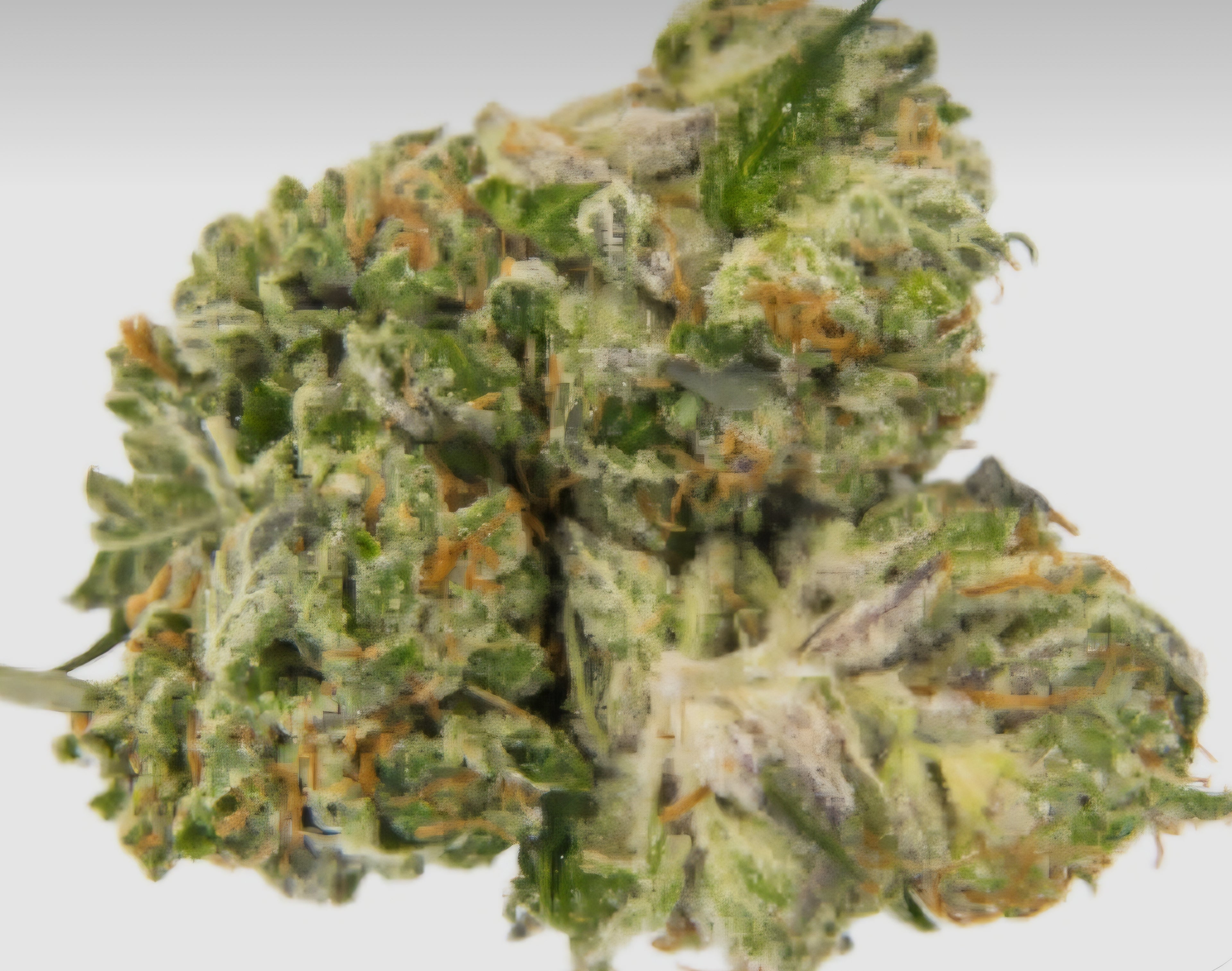 Grape Cake