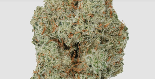 Gorilla Glue
