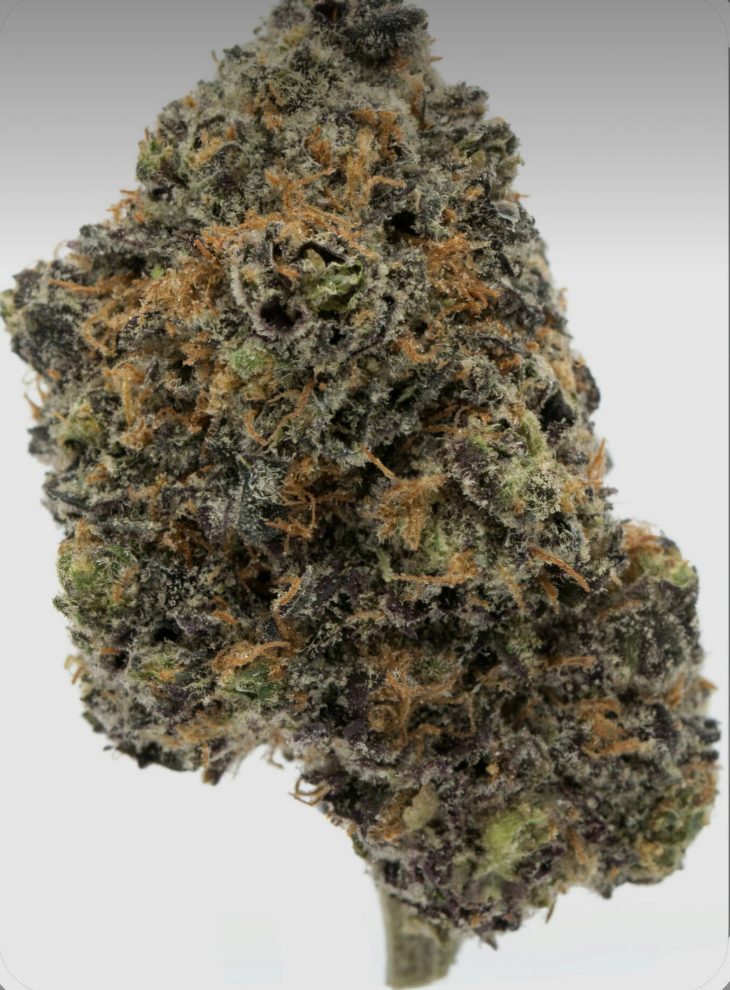 Grape Cake